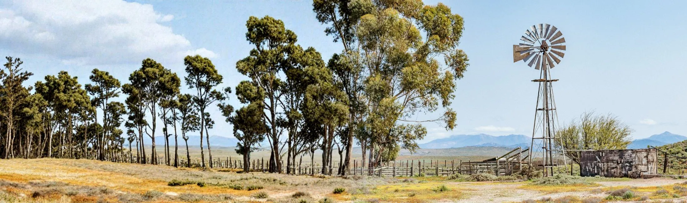 Regional Australia Bank Warialda branch