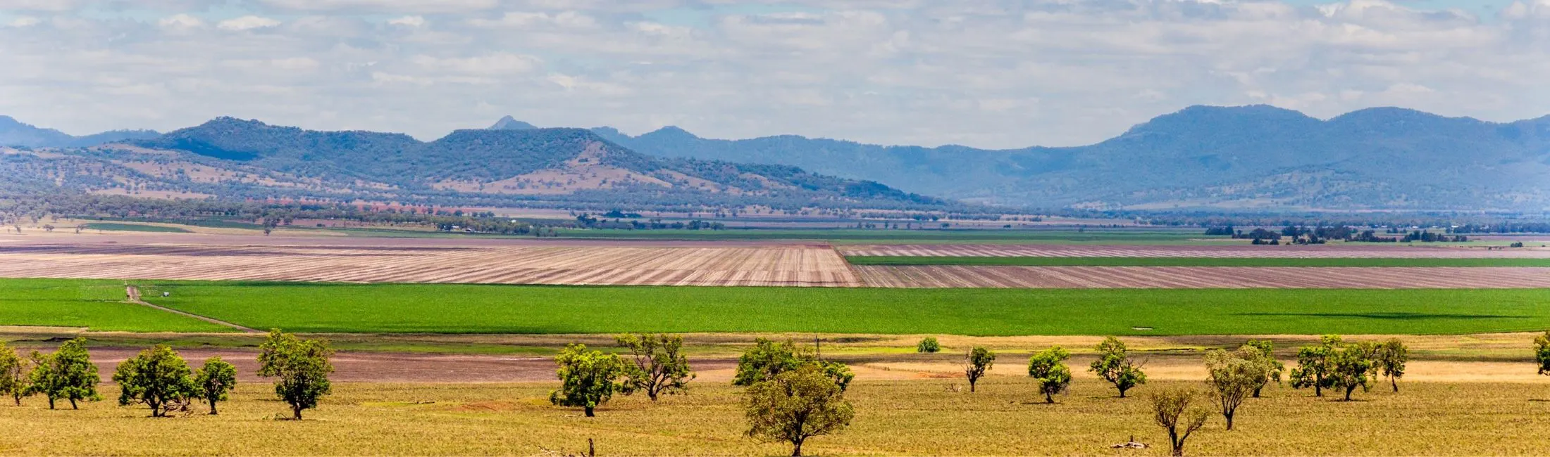 Regional Australia Bank Quirindi branch