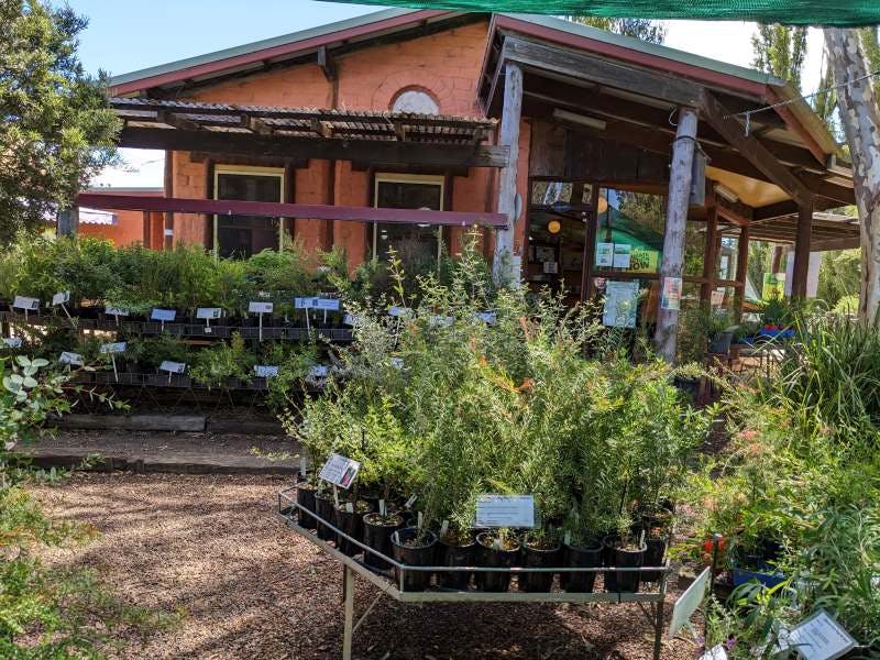 Woodland Centre  Nursery