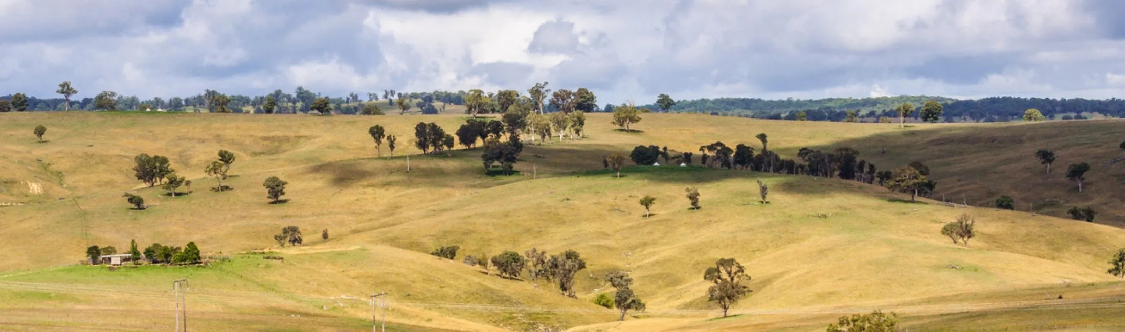 Regional Australia Bank Barraba branch