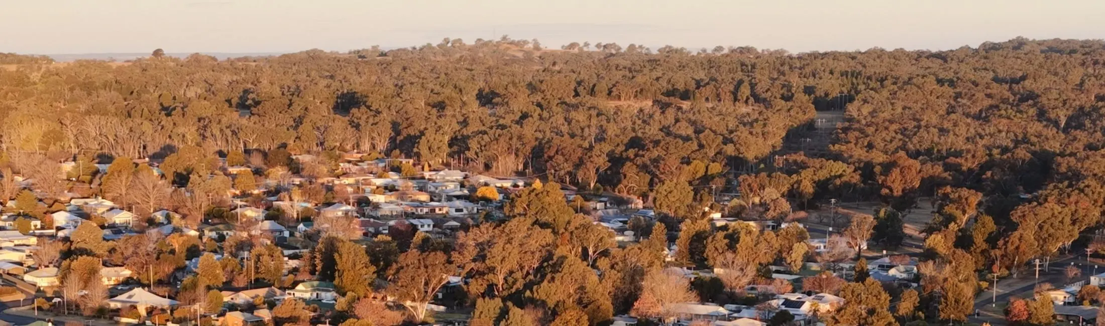 Regional Australia Bank Coonabarabran branch