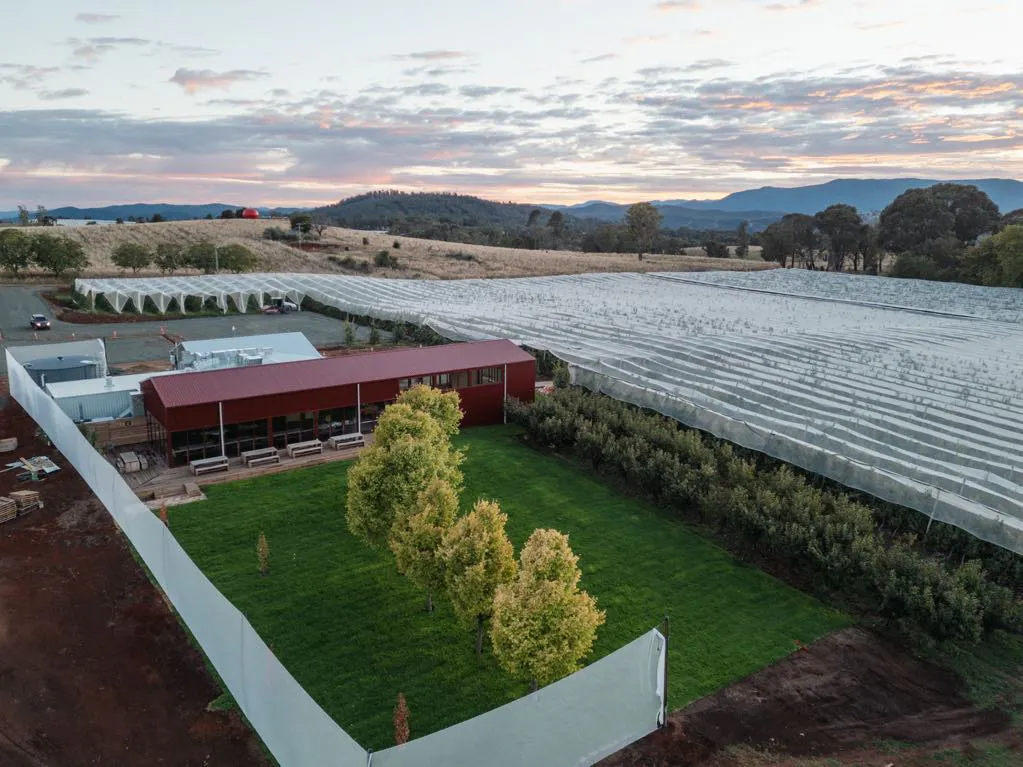 The Apple Cider Thief House | Drone overlooking the Apple Cider Thief House grounds